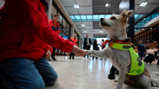 Una "patrulla canina" calma a los viajeros en el aeropuerto de Berl&iacute;n
