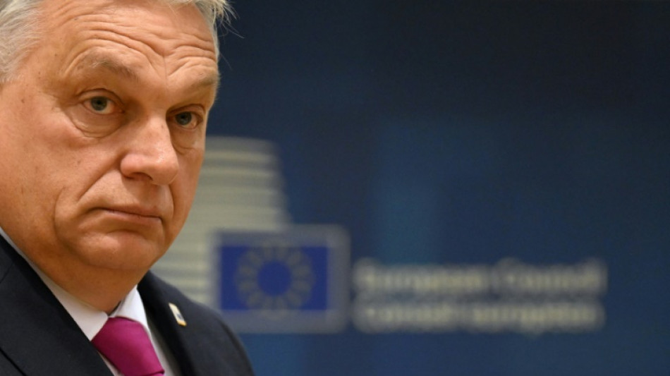 L'UE ouvre sa porte &agrave; l'Ukraine, mais &eacute;choue &agrave; confirmer une nouvelle aide