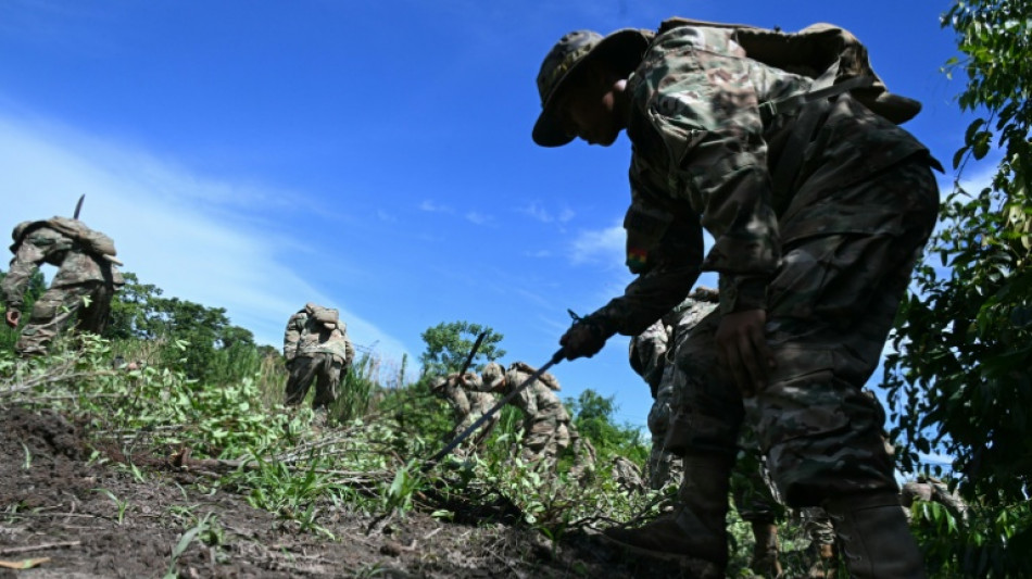 Militares erradican coca ilegal en Bolivia mientras el gobierno coordina el retorno de la DEA