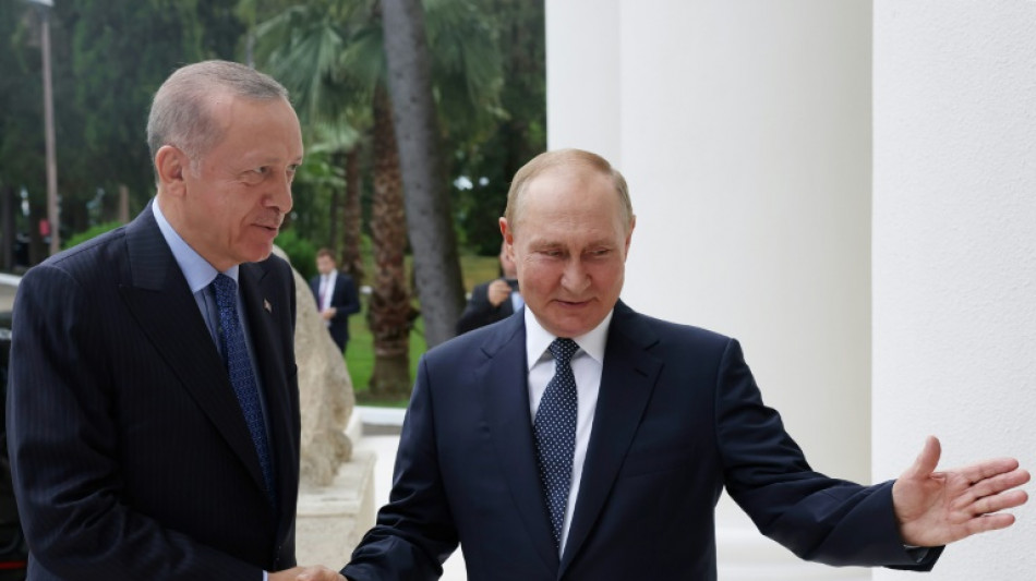 Erdogan emerges a key mediator in Ukraine war