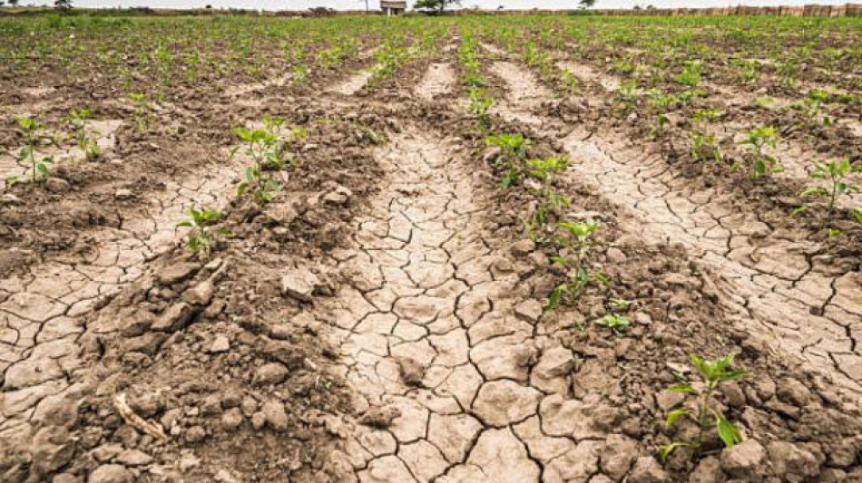 Siccit&agrave;, dal 2002 le aree colpite sono aumentate ogni anno