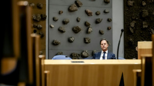 Pays-Bas: le Premier ministre annonce quitter la politique apr&egrave;s les &eacute;lections