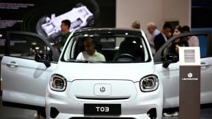 China wirft EU "Protektionsimus" bei E-Autos vor und warnt vor "negativen Folgen"