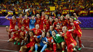 Euro-2025: l'Espagne vient &agrave; bout de l'Allemagne pour sa premi&egrave;re finale europ&eacute;enne