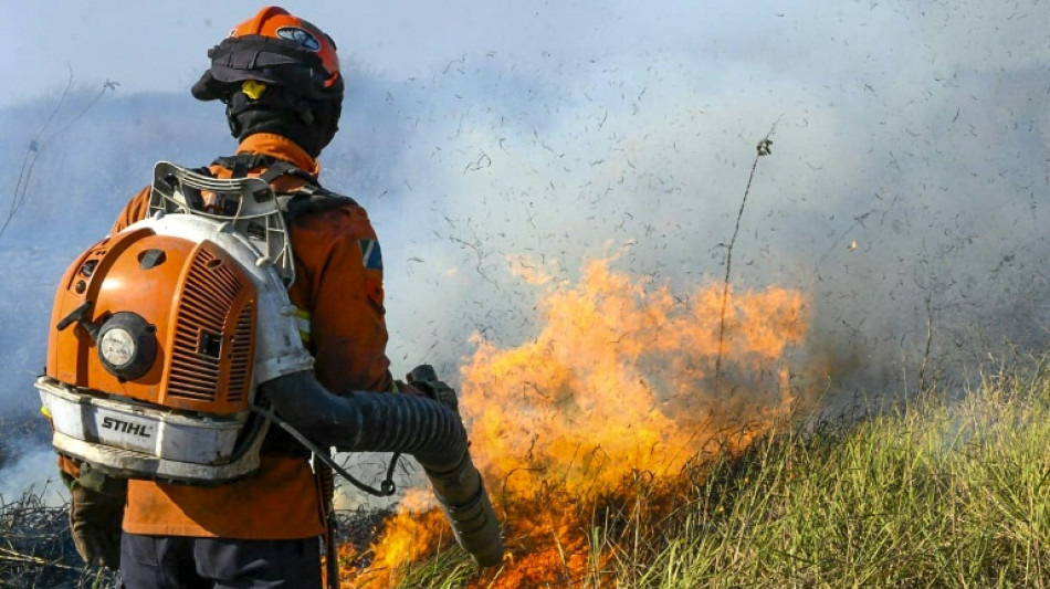 Mato Grosso do Sul decreta situa&ccedil;&atilde;o de emerg&ecirc;ncia no Pantanal