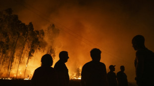 Les incendies au Portugal en passe d'&ecirc;tre ma&icirc;tris&eacute;s