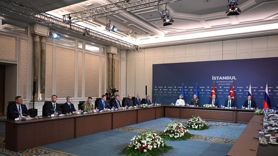 Kiev, 'abbiamo proposto un incontro Putin-Zelensky in agosto'