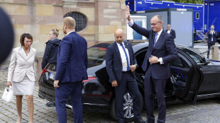 Merz,che Paese vogliamo essere? La democrazia non &egrave; scontata