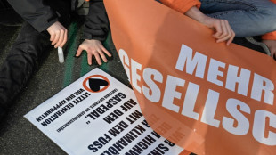 Klimaaktivistin in Berlin zu viermonatiger Haftstrafe verurteilt