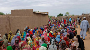 Fears for trapped civilians in Sudan's El-Fasher after RSF claims control