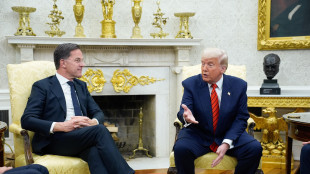 Rutte, 'accordo per armi importante, logico che europei paghino'