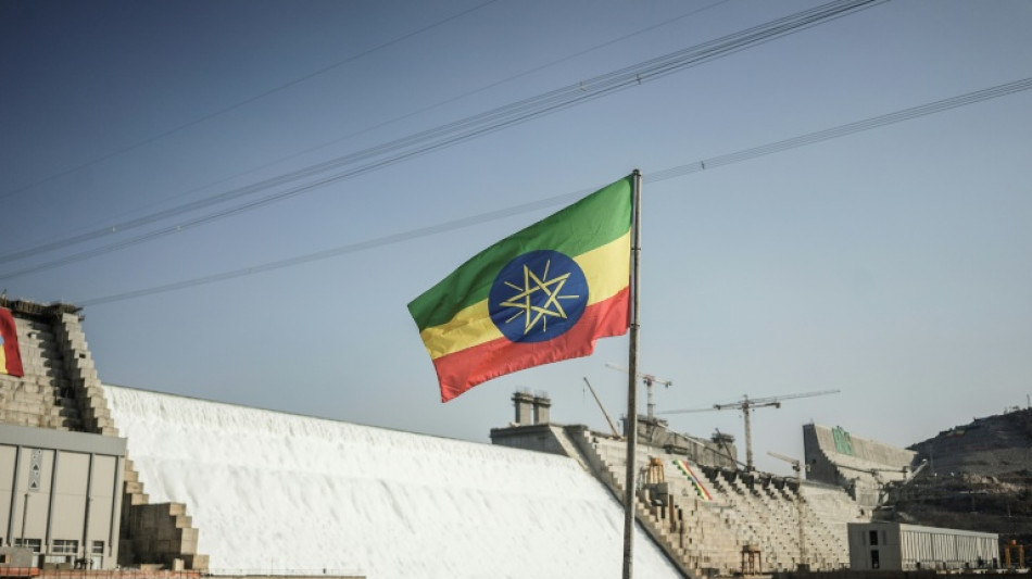 Entre l'Ethiopie et l'Egypte, le m&eacute;gabarrage de la discorde