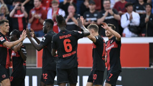 Leverkusen mit bestem Saisonstart - VfB-Höhenflug hält an