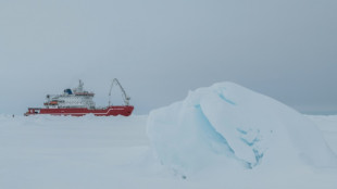 "Endurance" von Polarforscher Shackleton vor Antarktis-Küste entdeckt