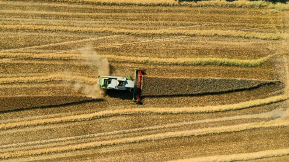 Climate change made 2022 drought 'at least 20 times likelier'