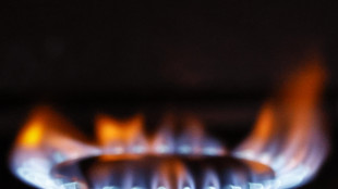 Il gas apre in rialzo sul mercato di Amsterdam (+3,7%)