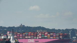 Mais tarifas e menos impostos diretos: a receita econ&ocirc;mica de Trump