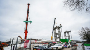 Dos muertos al derrumbarse un puente en construcción en Países Bajos