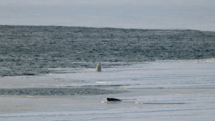 2025 a &eacute;t&eacute; l'ann&eacute;e la plus chaude jamais enregistr&eacute;e en Norv&egrave;ge