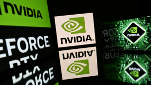 Stock markets strike record highs as AI concerns ease