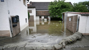 Hochwasser: FDP gegen Pflichtversicherung - Bundesregierung legt sich nicht fest