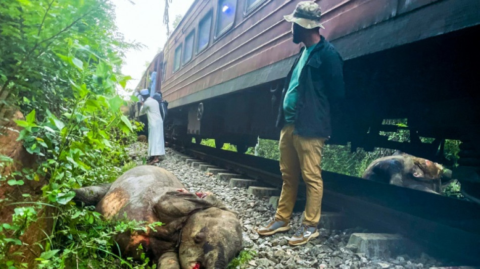 Sechs tote Elefanten bei Zugungl&uuml;ck in Sri Lanka - keine Menschen verletzt
