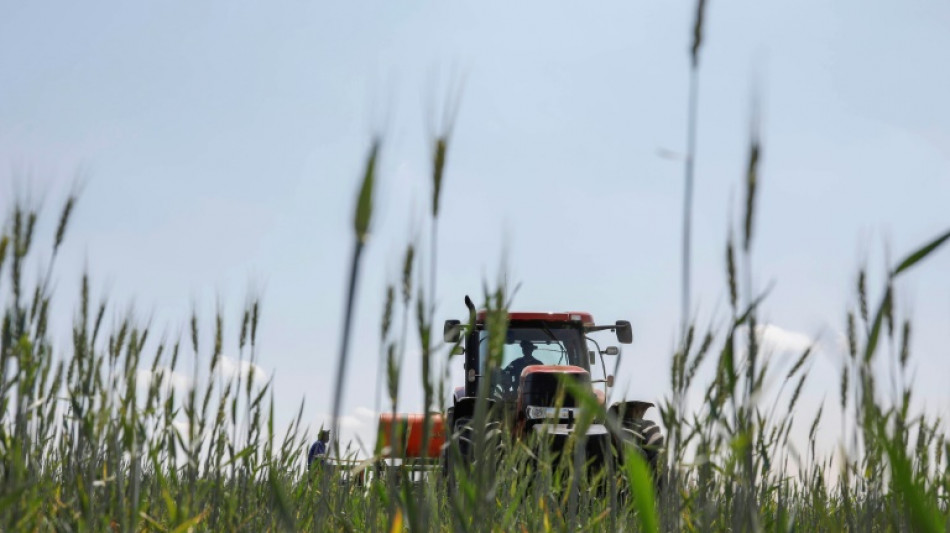 Bayer will Bio-Insektenvernichtungsmittel f&uuml;r Getreide auf den Markt bringen