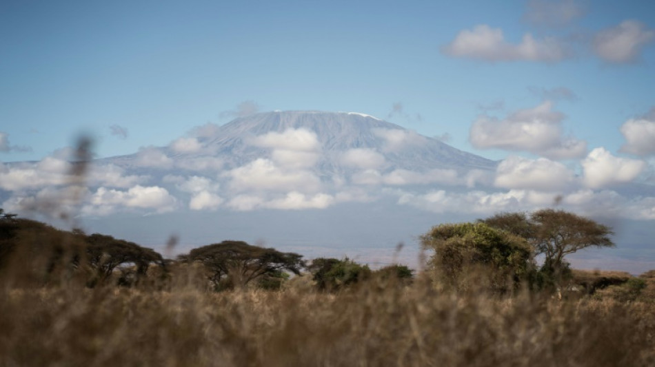 Tanzanie: l'incendie sur le Kilimandjaro est "ma&icirc;tris&eacute;", selon les autorit&eacute;s 