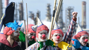 Une soixantaine de militants d&eacute;guis&eacute;s en clowns &agrave; l'int&eacute;rieur de la raffinerie TotalEnergies de Donges