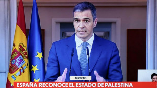 Spain, Norway recognise Palestinian state, Ireland next