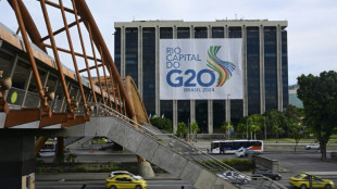 Les Occidentaux et Russie face à face au G20 accueilli par le Brésil