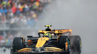 Sob chuva, Norris &eacute; o mais r&aacute;pido na 1&ordf; sess&atilde;o de treinos livres do GP do Canad&aacute;