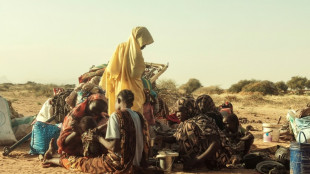 Soudan: le terrifiant r&eacute;cit d'une attaque contre un camp frapp&eacute; par la famine