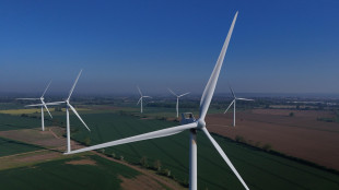 Legambiente, doppia maglia nera all'Italia per dipendenza fossili e costo bollette