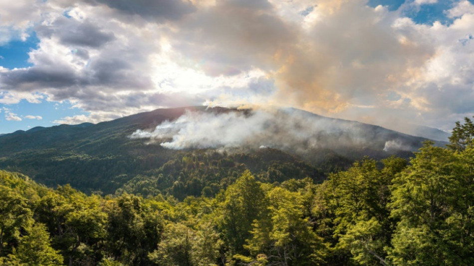 Ministra argentina responsabiliza grupo mapuche por inc&ecirc;ndios na Patag&ocirc;nia