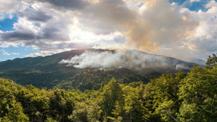 Ministra argentina responsabiliza grupo mapuche por inc&ecirc;ndios na Patag&ocirc;nia