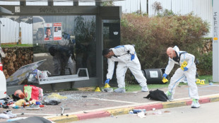 Isra&euml;l: une femme tu&eacute;e dans un attentat &agrave; la voiture b&eacute;lier (police) 