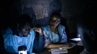 Elections en RDC: 2e jour de vote et 1ers r&eacute;sultats envisag&eacute;s vendredi