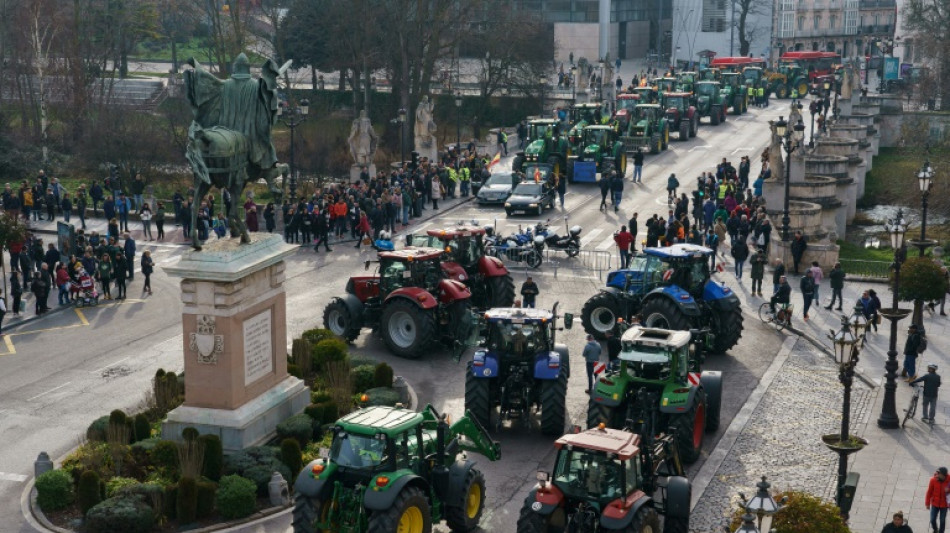 Des milliers d'agriculteurs manifestent en tracteur &agrave; travers l'Espagne