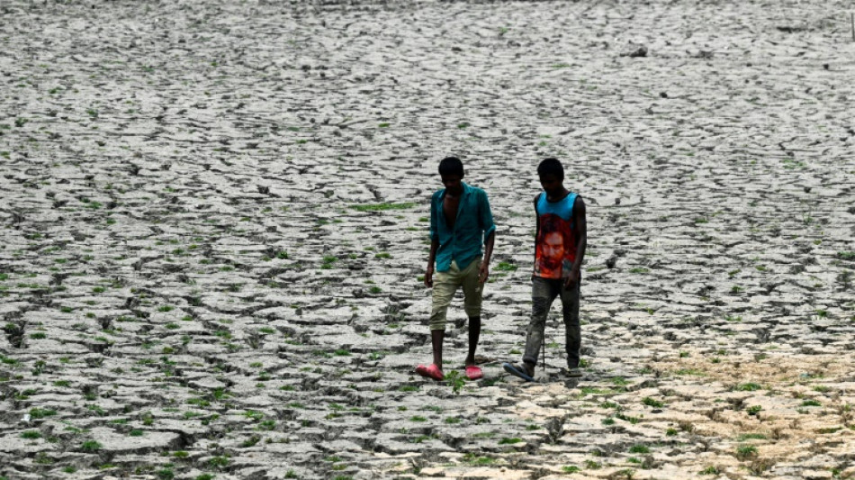 Canicules: des r&eacute;gions enti&egrave;res vont devenir invivables au cours des prochaines d&eacute;cennies 
