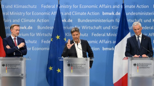 Deutschland und Frankreich begrüßen EU-Untersuchung zu Chinas E-Autosubventionen