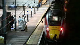 Dix bless&eacute;s dont neuf graves dans une attaque &agrave; l'arme blanche dans un train en Angleterre