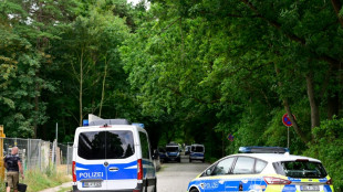 Behörden in Berlin und Brandenburg suchen mit Großaufgebot nach entlaufener Löwin