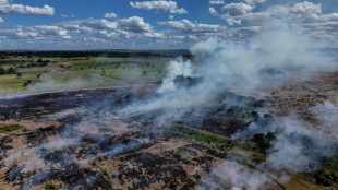 Deforestation in Brazil's Amazon drops to lowest level since 2019