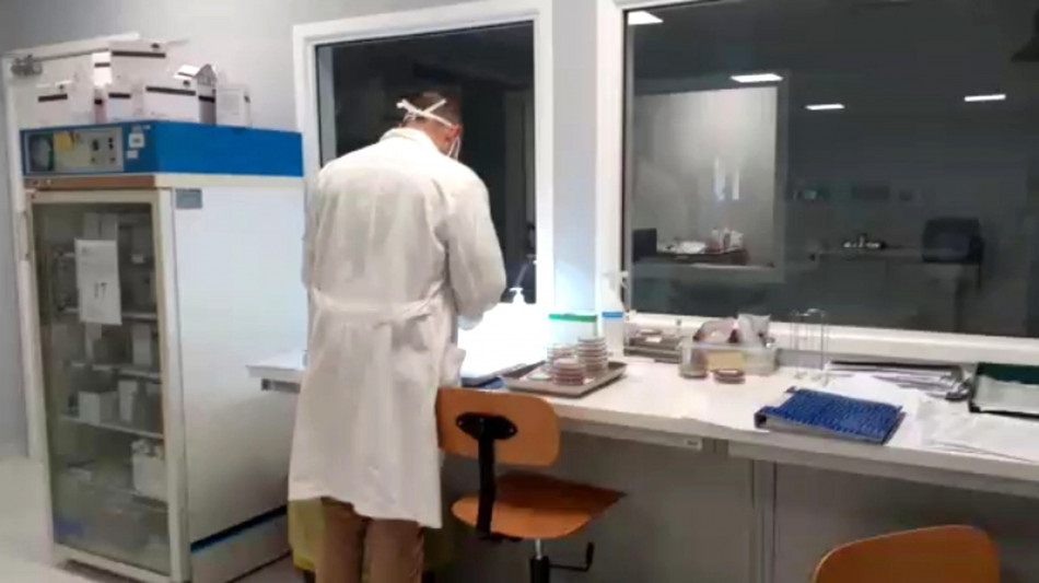 Un milione di dollari per studiare la flessibilit&agrave; del cervello