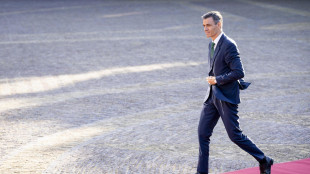 S&aacute;nchez, 'Spagna &egrave; attore chiave dell'architettura di difesa Ue'