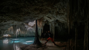 En M&eacute;xico, el Tren Maya amenaza una joya de la naturaleza a su paso