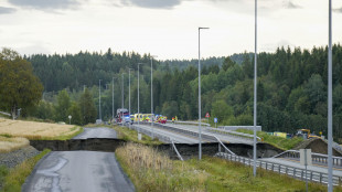 Norvegia, voragine su autostrada E6, soccorritori in azione