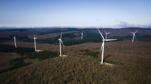 Energies renouvelables: les macronistes lorgnent &agrave; gauche pour l'arriv&eacute;e &agrave; l'Assembl&eacute;e