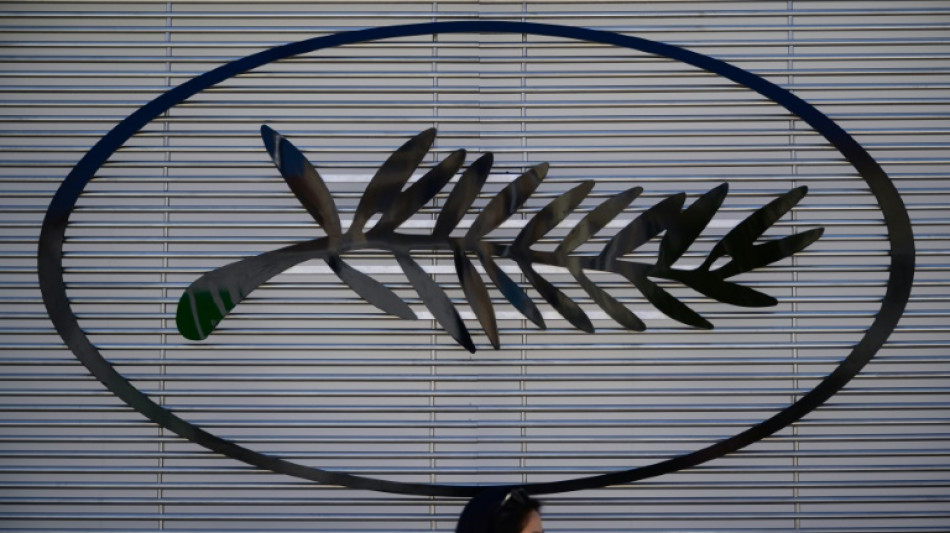 Kodi, estrela de 'Le proc&egrave;s du chien', ganha Palm Dog em Cannes